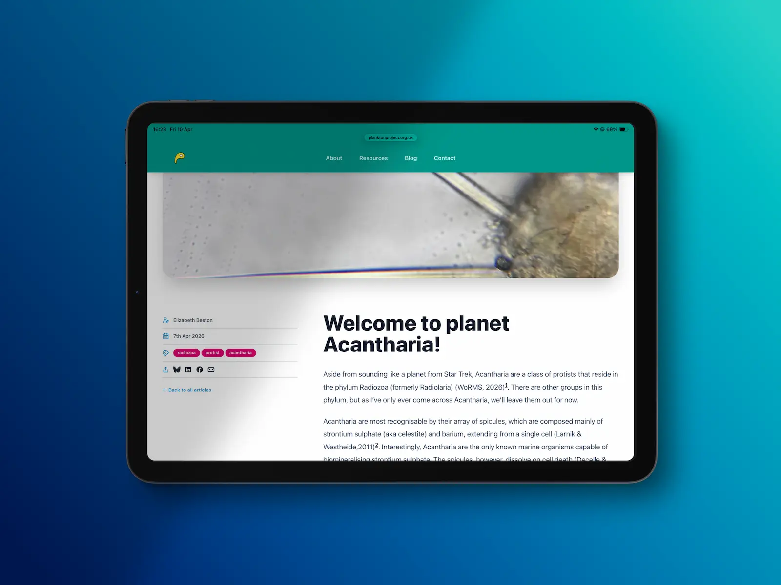 An example of the blog page on an iPad Air, showing the blog post title, date and content.