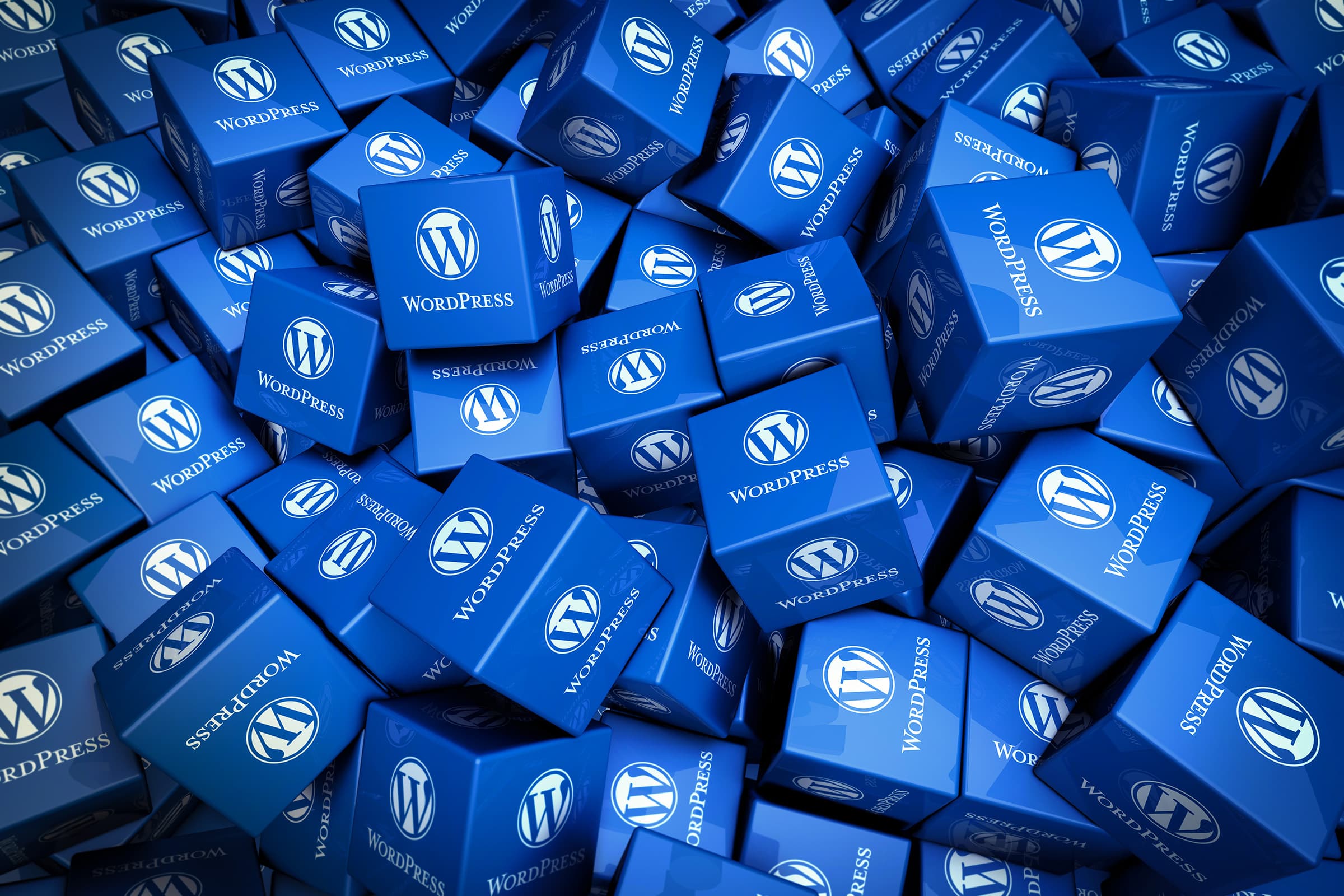 WordPress Rules the Roost